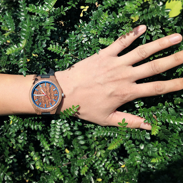 The Forest watch